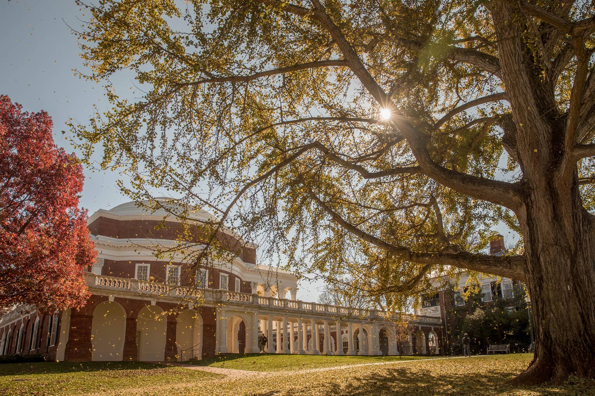 university of virginia essays 2021